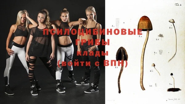 молекула духа Куйбышев