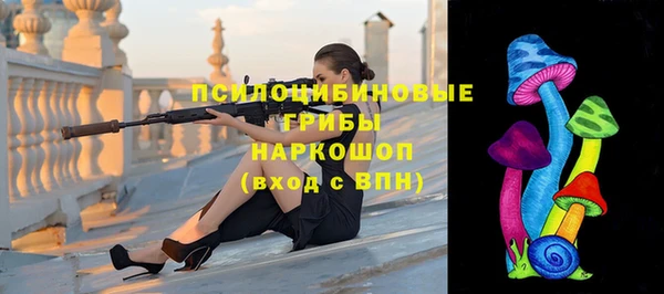 стаф Кукмор