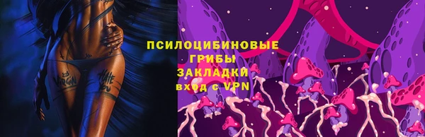 стафф Кулебаки
