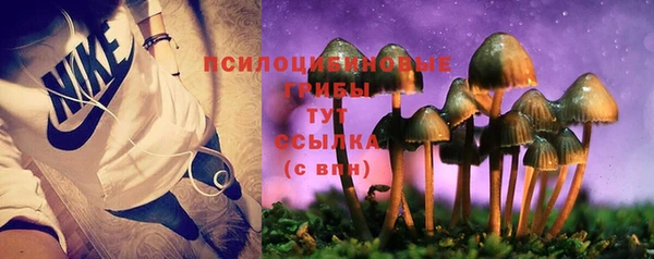 марки nbome Ладушкин