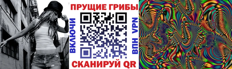 Псилоцибиновые грибы мицелий  Абаза 